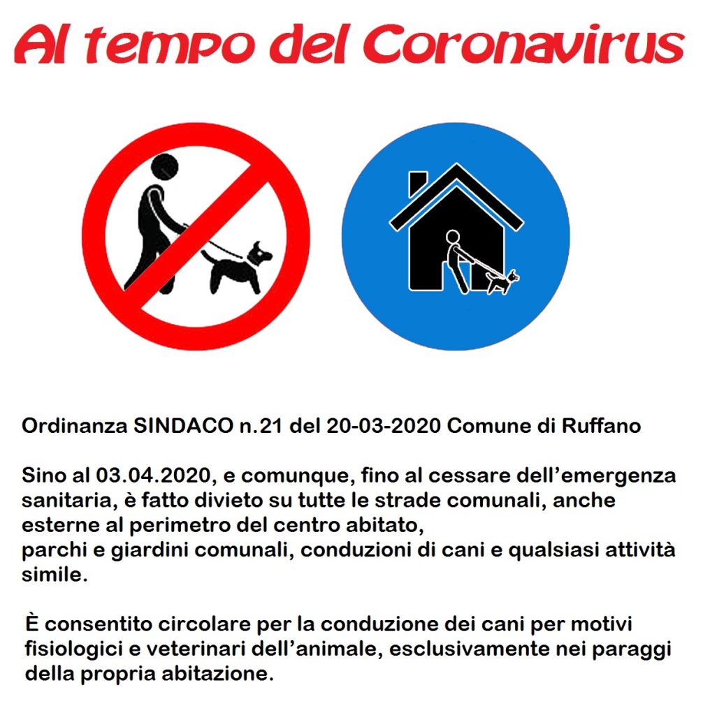 ai tempi del corona virus cani